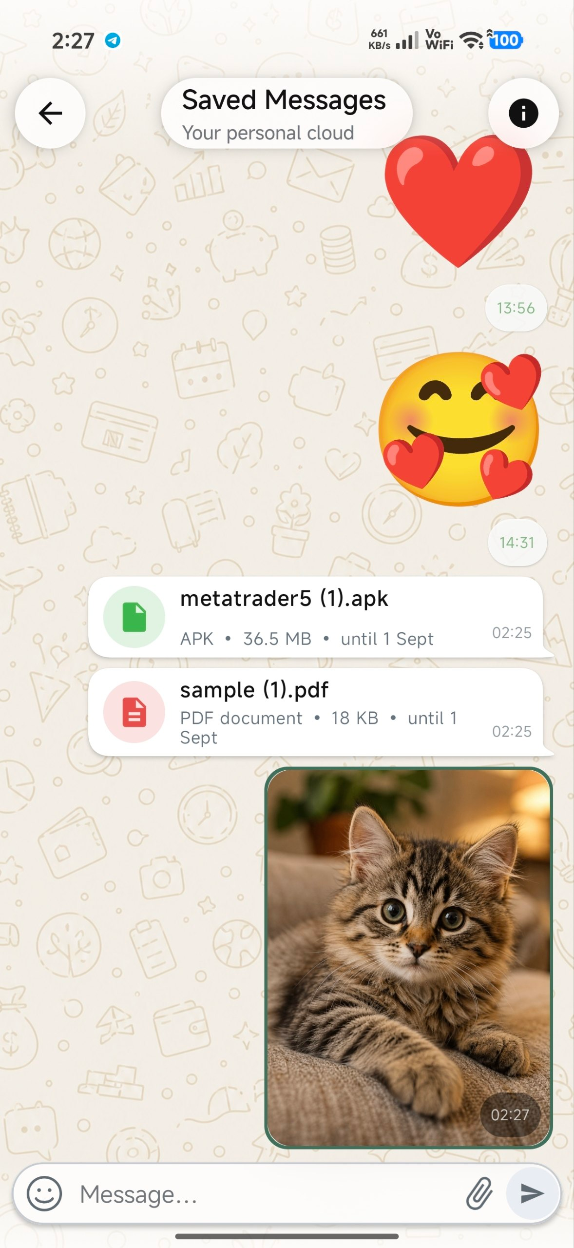 NEXVYO Saved Messages showing APK and PDF files